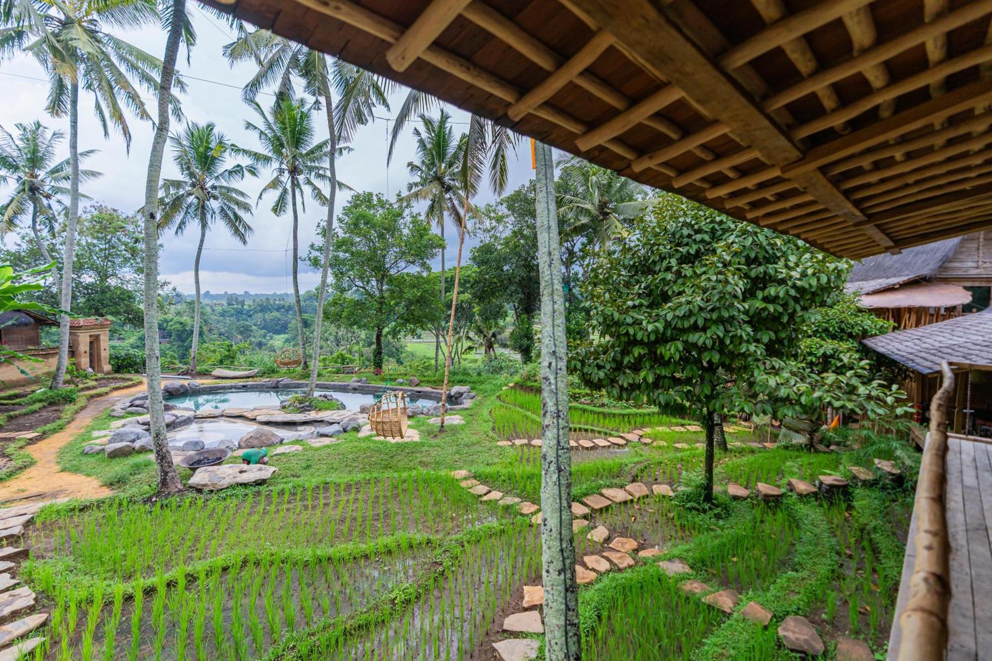 Bambu Indah Resort Ubud Exteriér fotografie