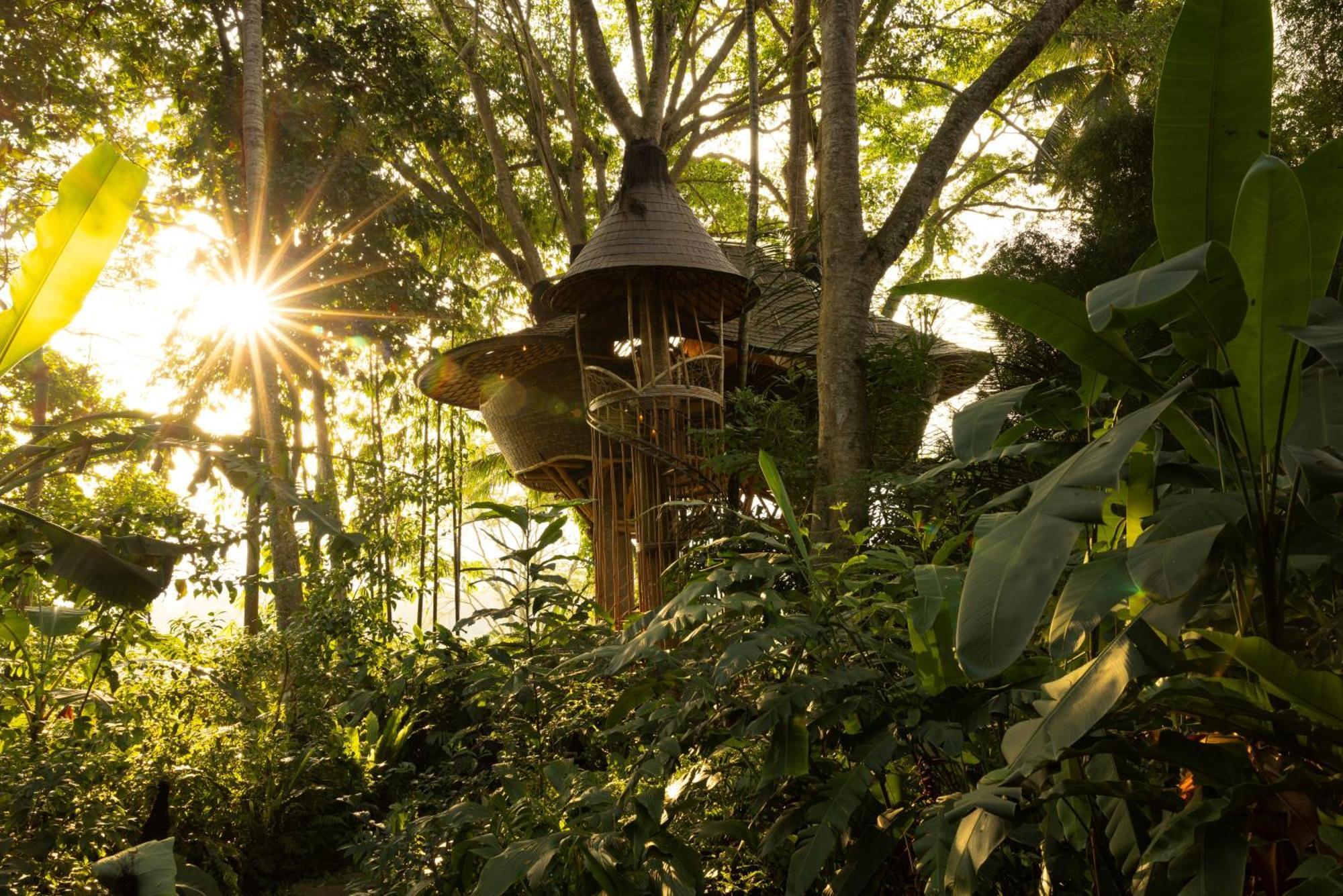 Bambu Indah Resort Ubud Exteriér fotografie
