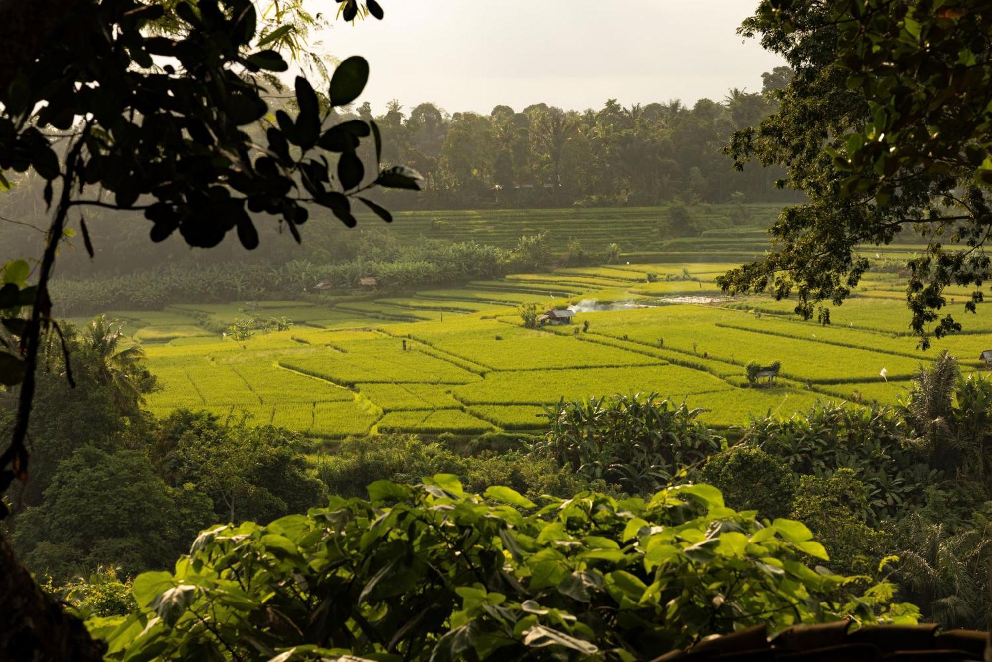 Bambu Indah Resort Ubud Exteriér fotografie