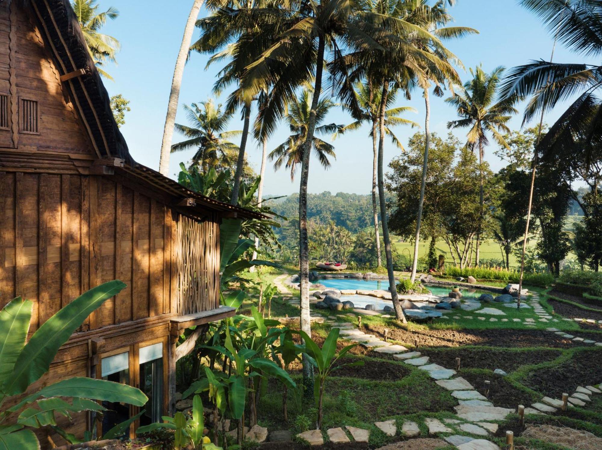Bambu Indah Resort Ubud Exteriér fotografie